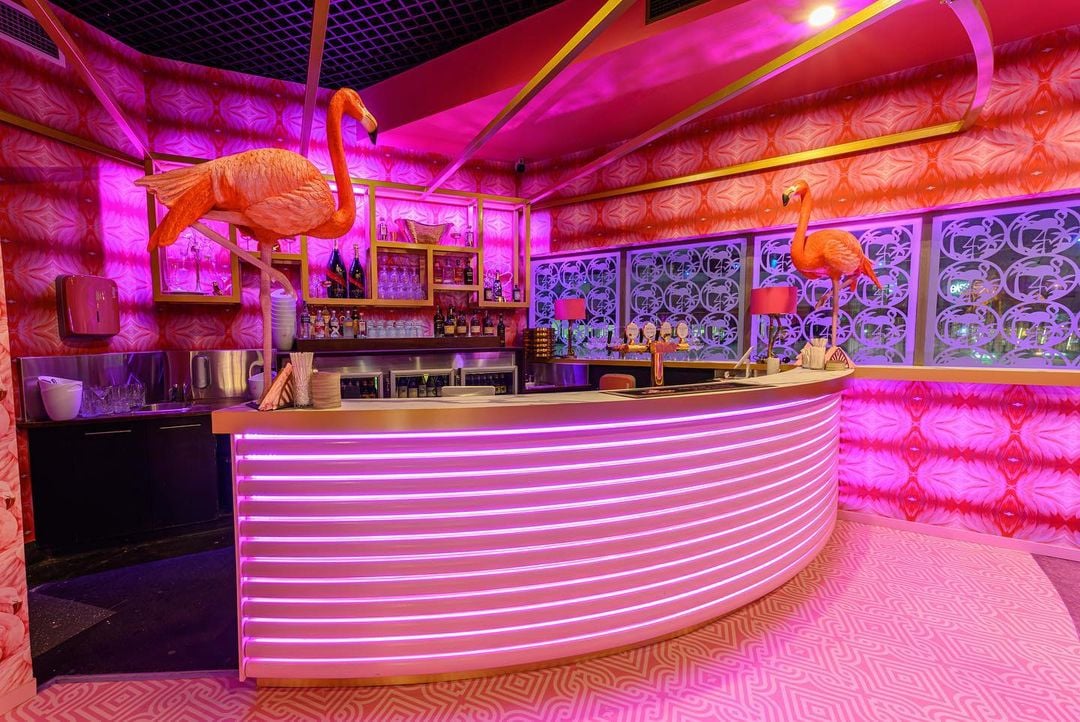 _pinkflamingogoldcoast_03